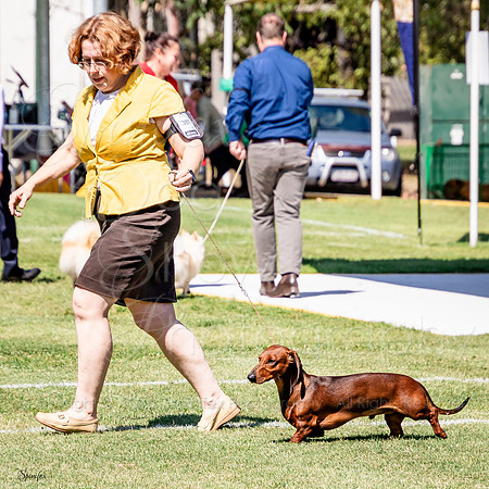 SfxJ-0298