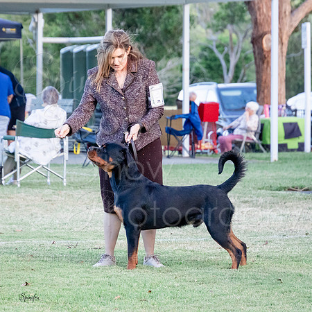 SfxZj-0068