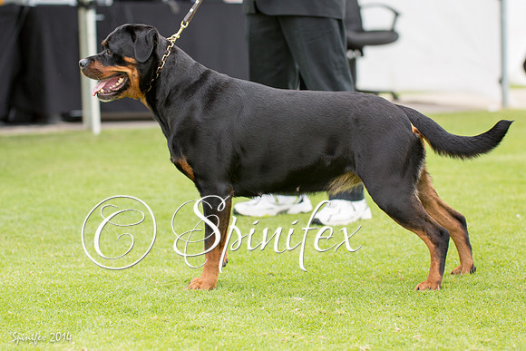 RCSAJ2014-5618