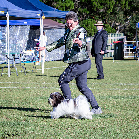 SfxJ-1661