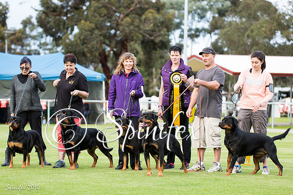 RCSAJ2014-6622