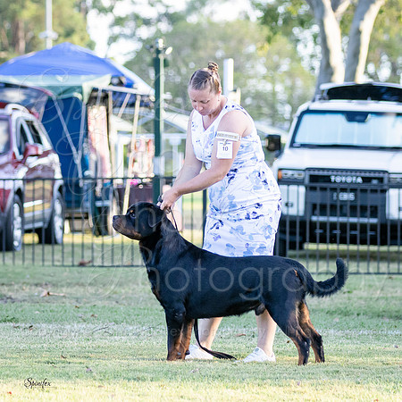 SfxZy-6459