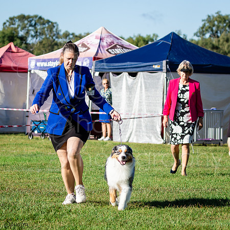SfxA-7937