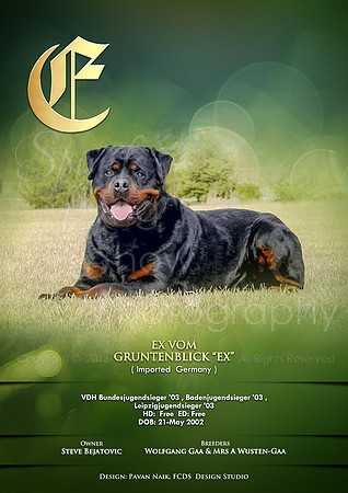FCDS Rottweiler E