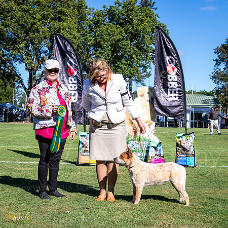 SfxJ-9368
