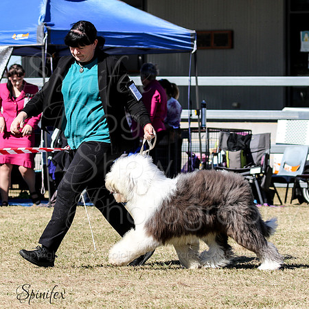 Sfx-9871