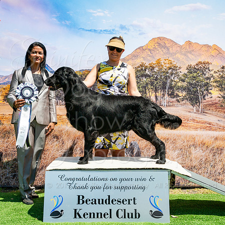 SfxP-4636