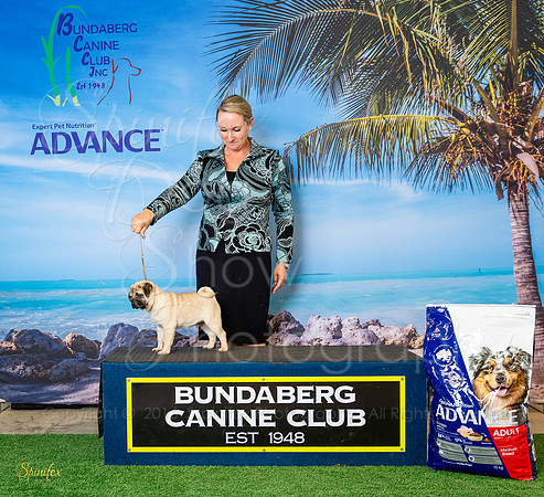 Sfx-1200