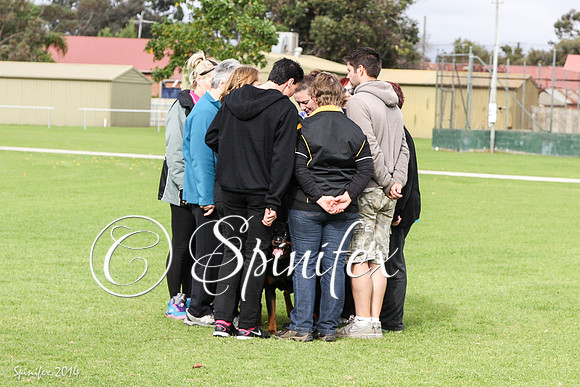 RCSAJ2014-1419