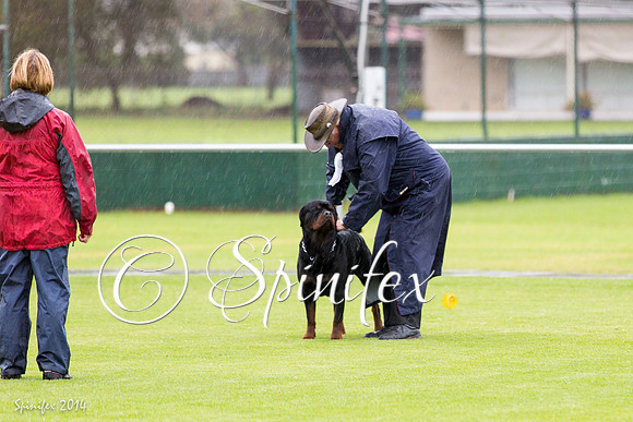 RCSAJ2014-5173