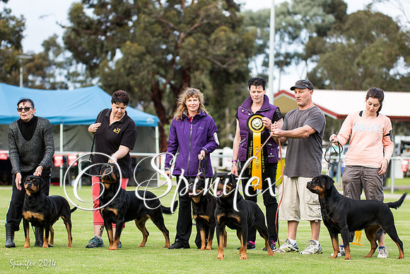 RCSAJ2014-6616