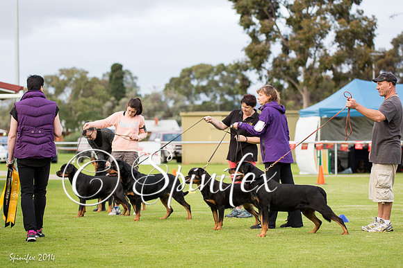 RCSAJ2014-6609