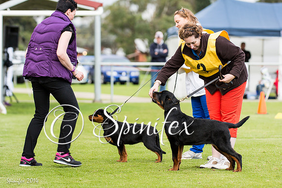 RCSAJ2014-6454