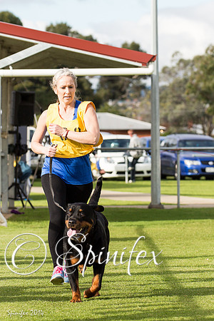 RCSAJ2014-6319
