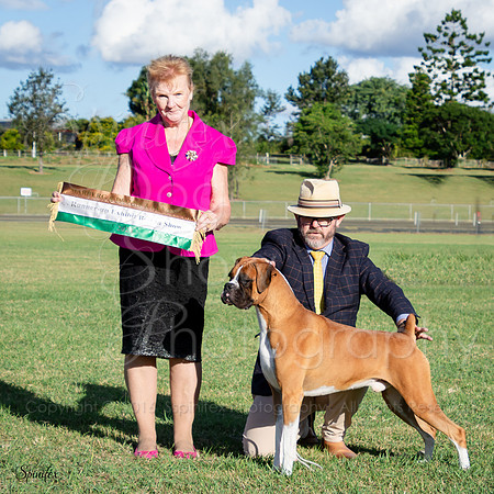 SfxJ--2127