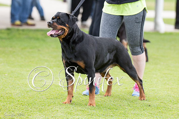 RCSAJ2014-5674