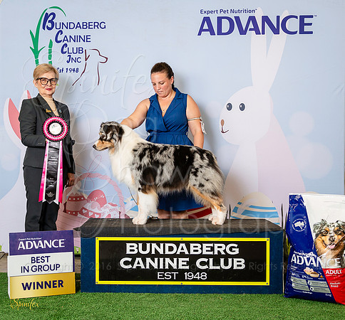 Sfx-3119