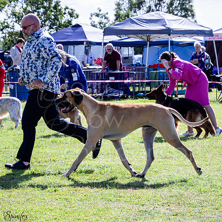 SfxJ-5723