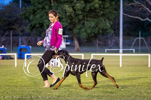 cc_140510_dogs_DABKC_0090