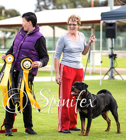 RCSAJ2014-5831