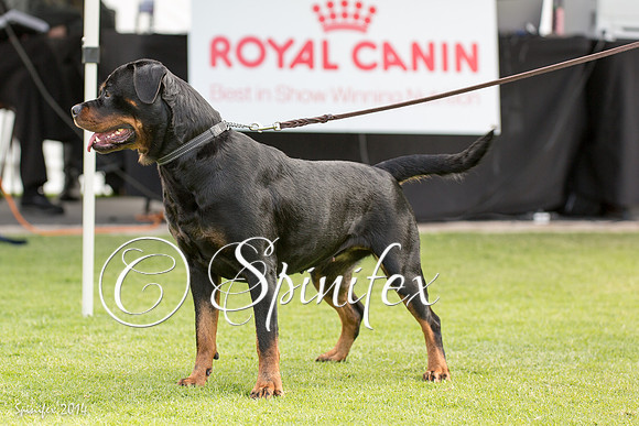 RCSAJ2014-5647
