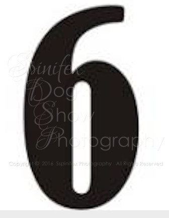 SIX