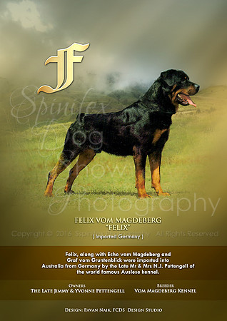 FCDS Rottweiler F
