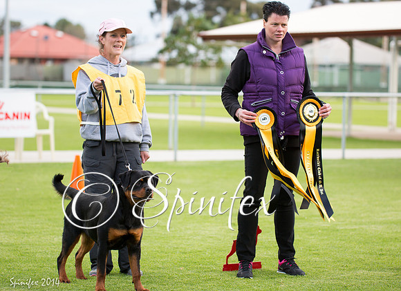 RCSAJ2014-5827