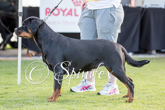 RCSAJ2014-5717
