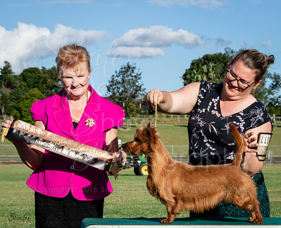 SfxJ-2221