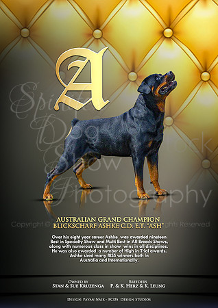 FCDS Rottweiler A
