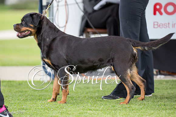 RCSAJ2014-5623
