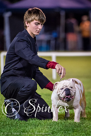 cc_140510_dogs_DABKC_0134