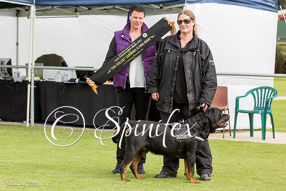 RCSAJ2014-5588