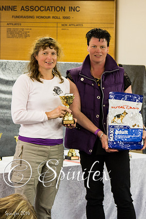 RCSAJ2014-6670