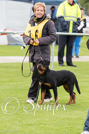 RCSAJ2014-5413 #16