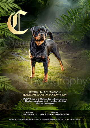 FCDS Rottweiler C3