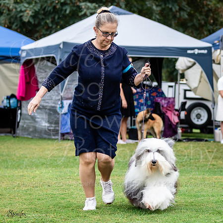 SfxY-4175