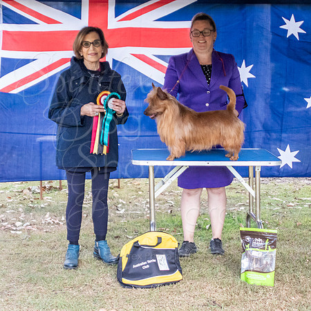 SfxJ-4406