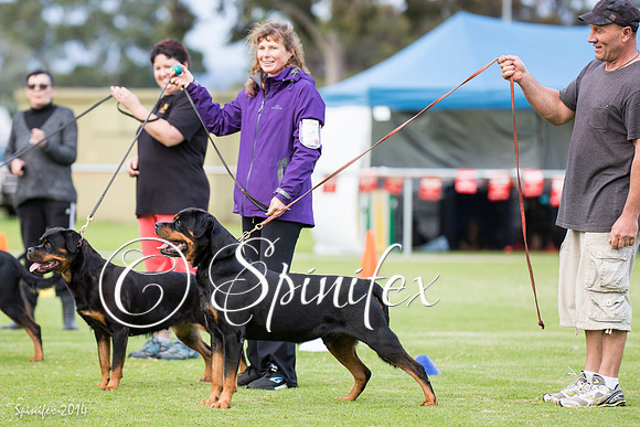 RCSAJ2014-6605