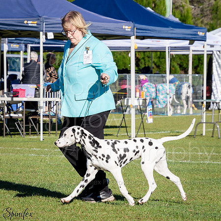 SfxJ-0390