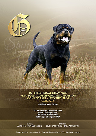FCDS Rottweiler G