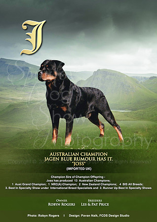FCDS Rottweiler J