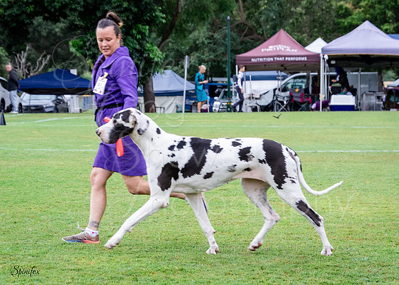 SfxJ-7225