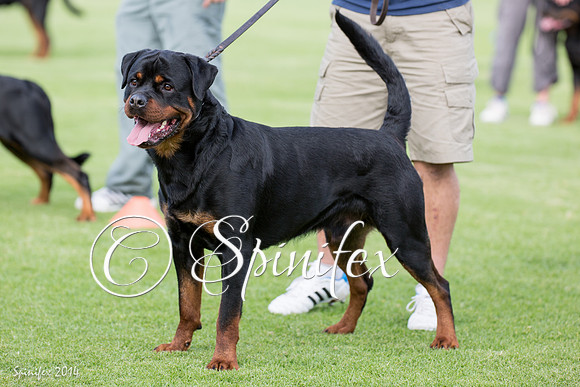 RCSAJ2014-6364