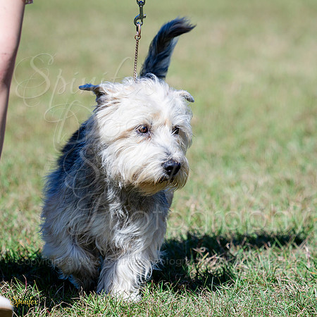 SfxA-8897