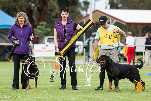 RCSAJ2014-6537